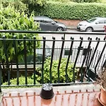 In Centro / Downtown